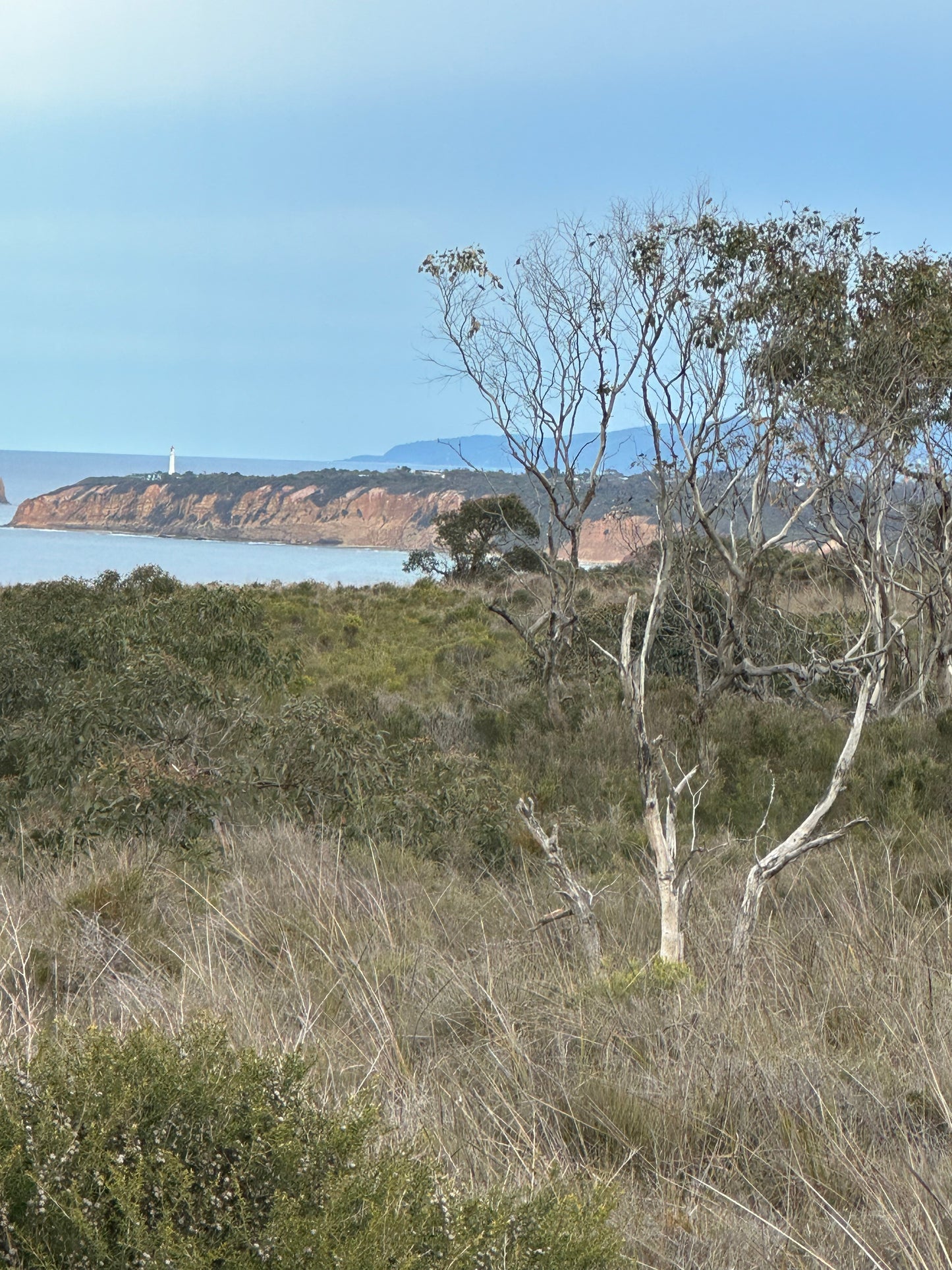 Bush to Beach Hike