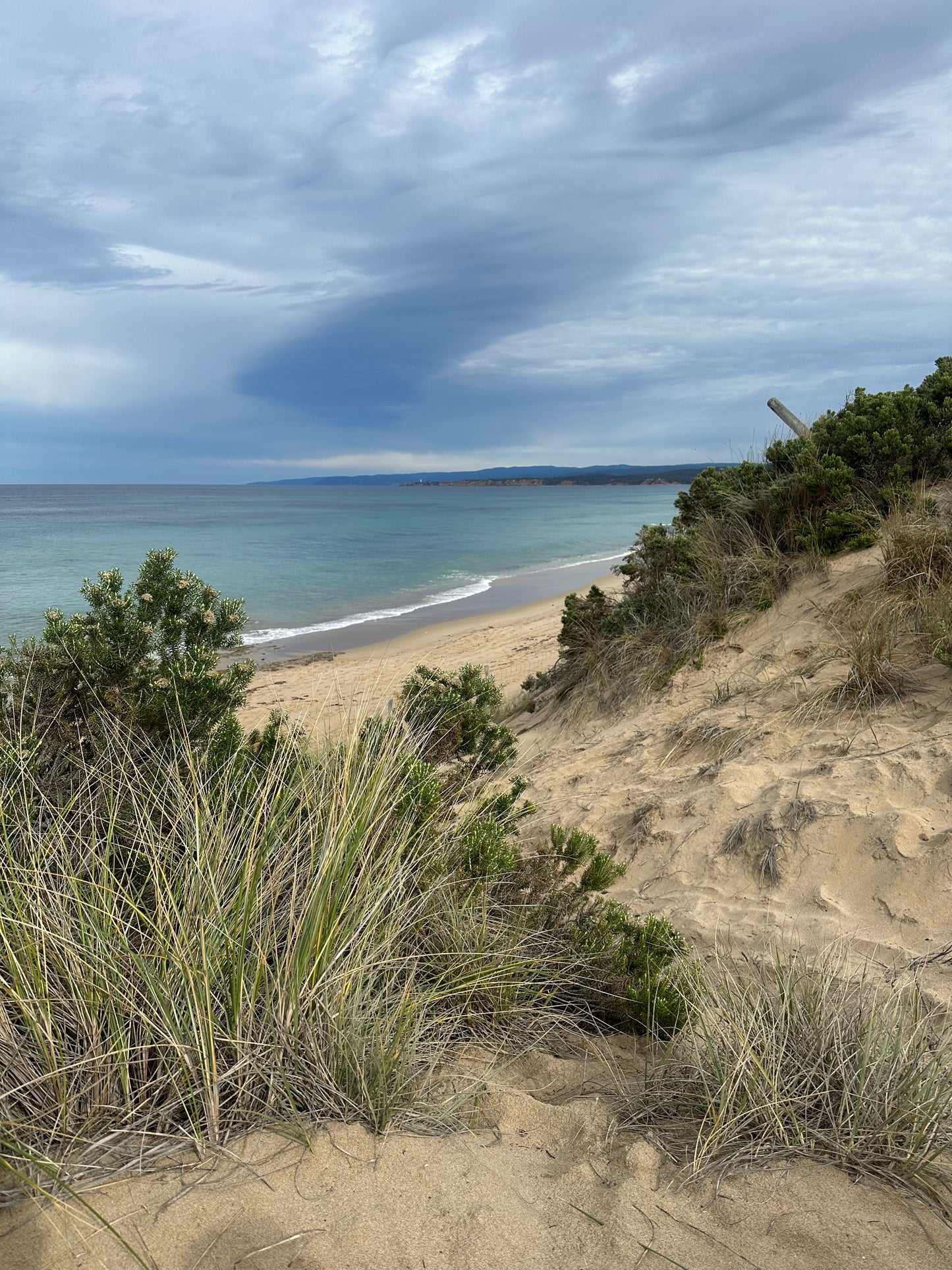 Bush to Beach Hike