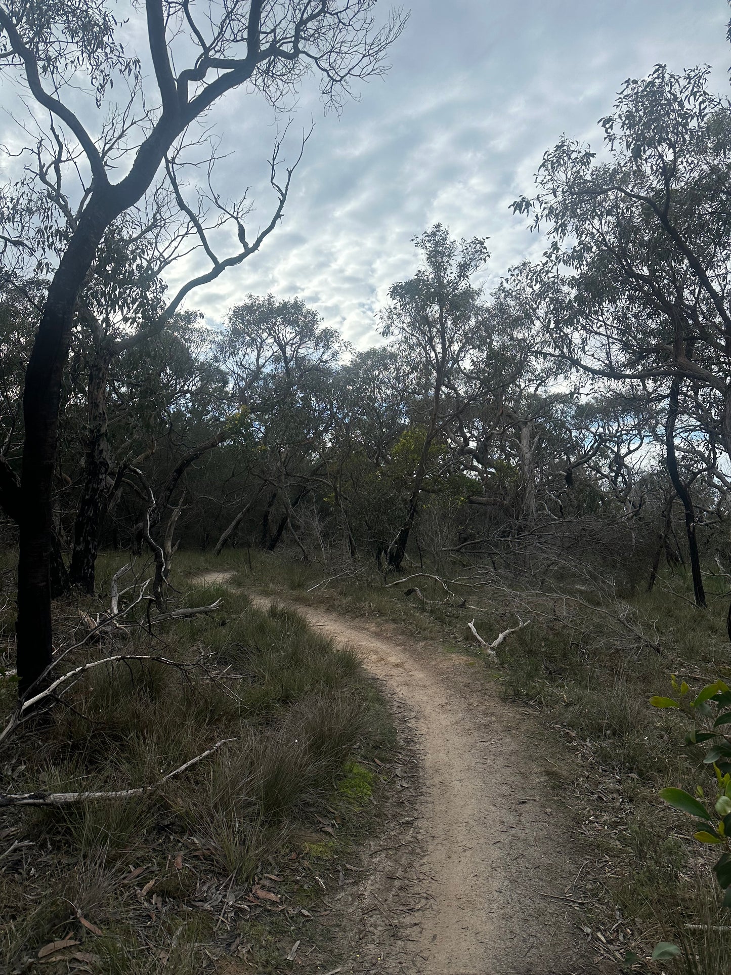 Bush to Beach Hike