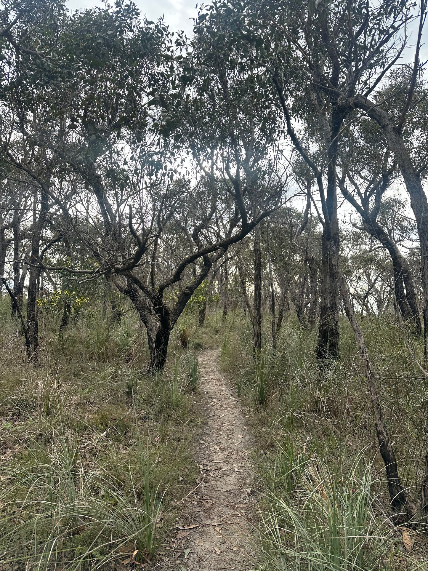 Bush to Beach Hike