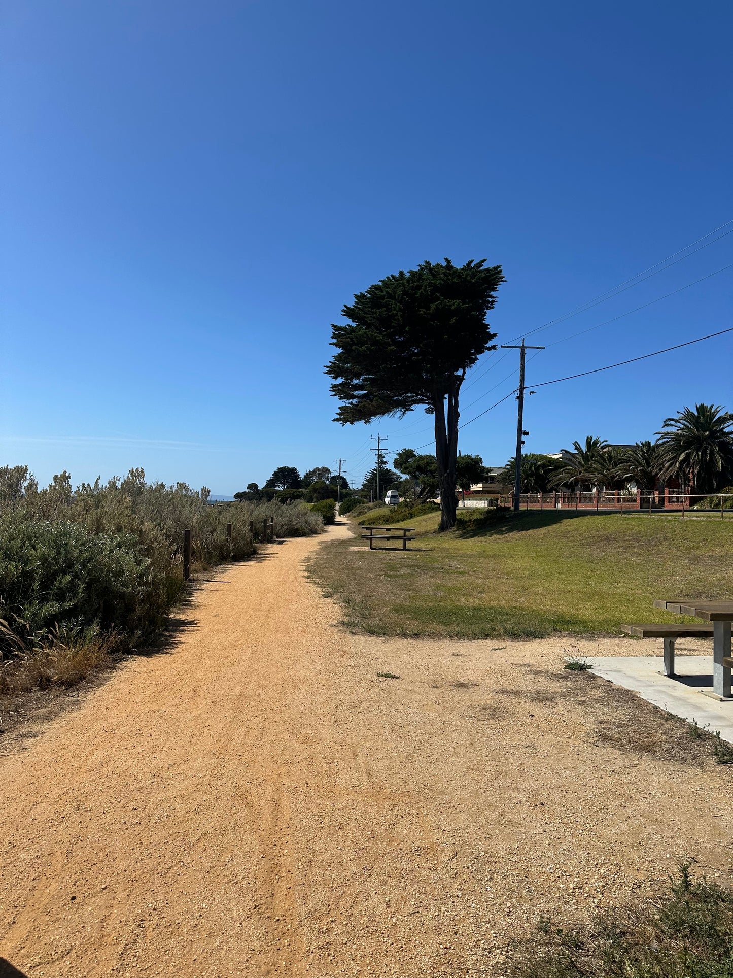 Portarlington Social Walk