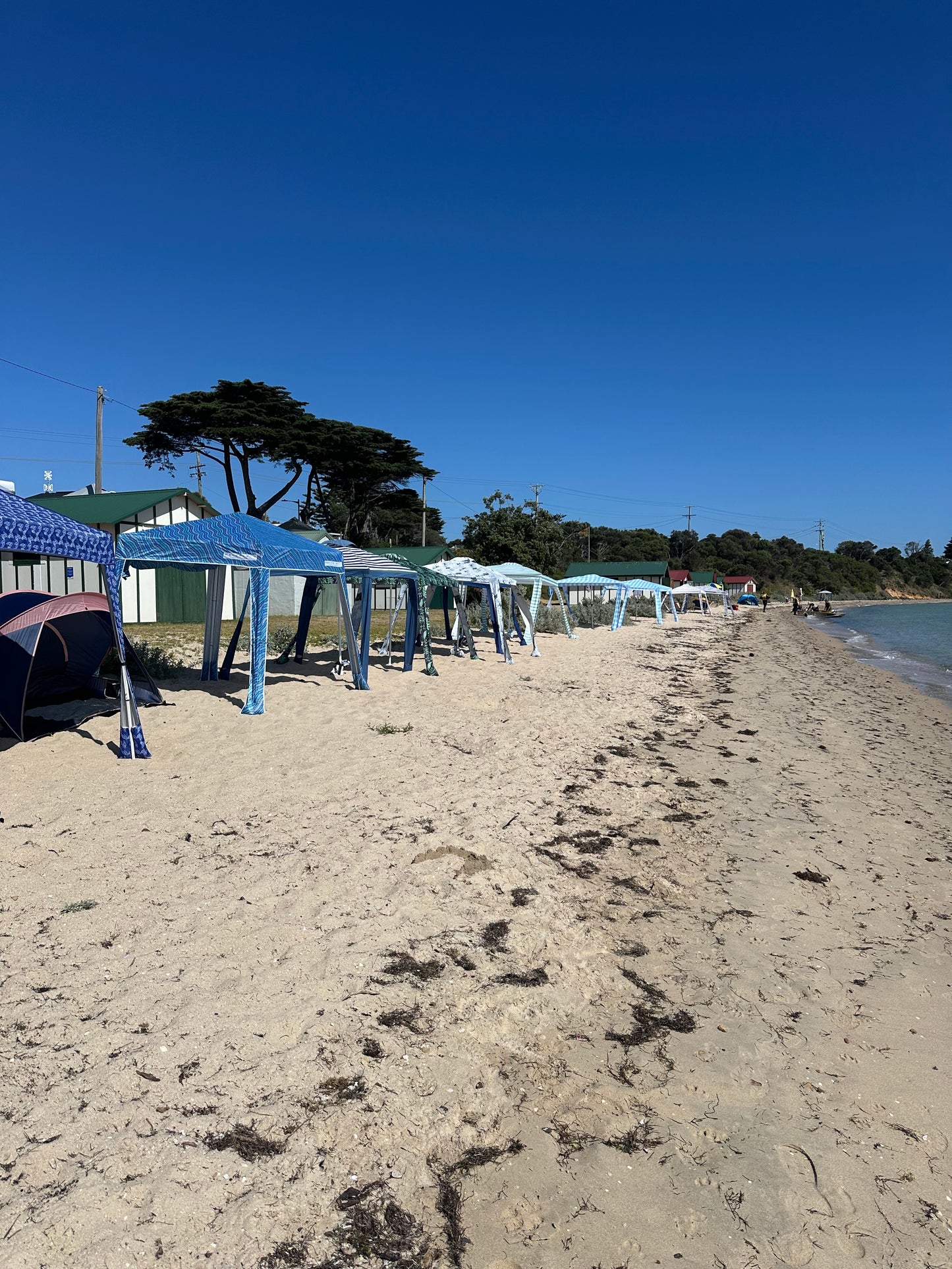 Portarlington Social Walk