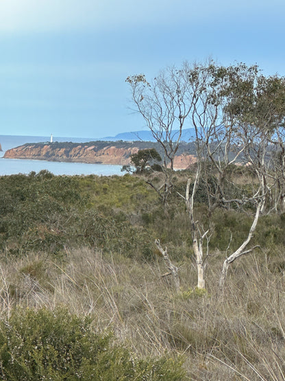 Bush to Beach Hike