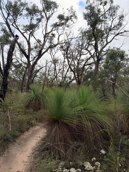 Eumeralla Loop Hike
