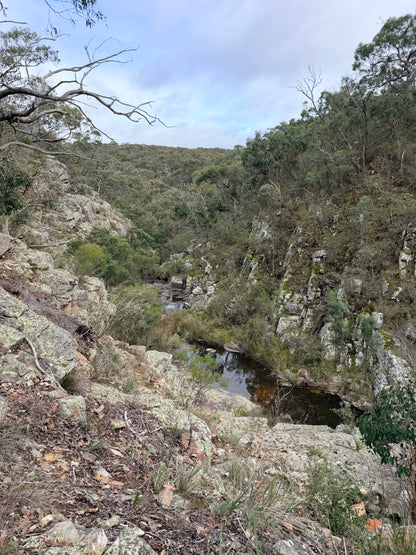 Steiglitz Loop Hike