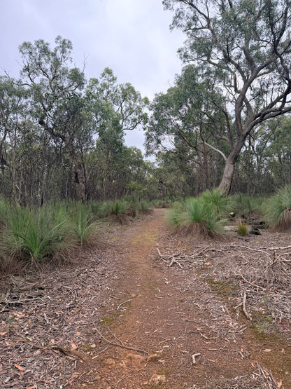 Steiglitz Loop Hike