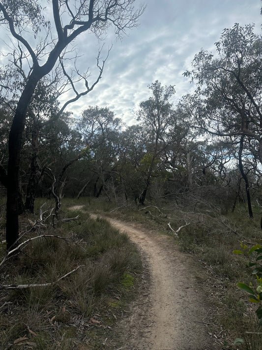 Bush to Beach Hike