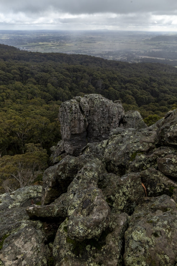 Camels Hump Hike