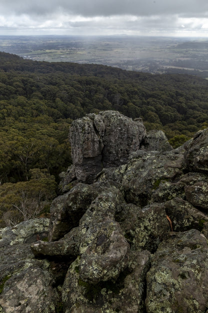 Camels Hump Hike