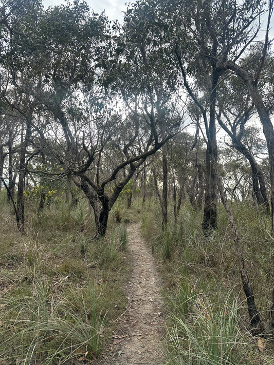 Bush to Beach Hike