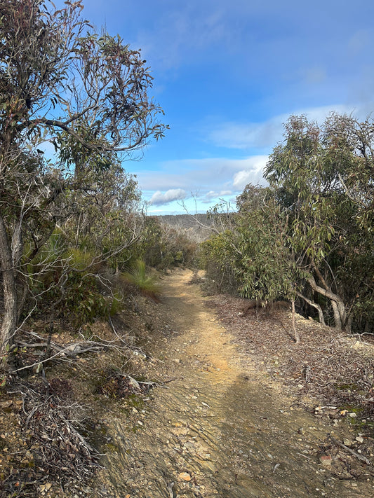 Tall Grasses Loop