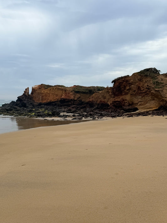 Point Addis Social Walk