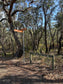 Harrison Track