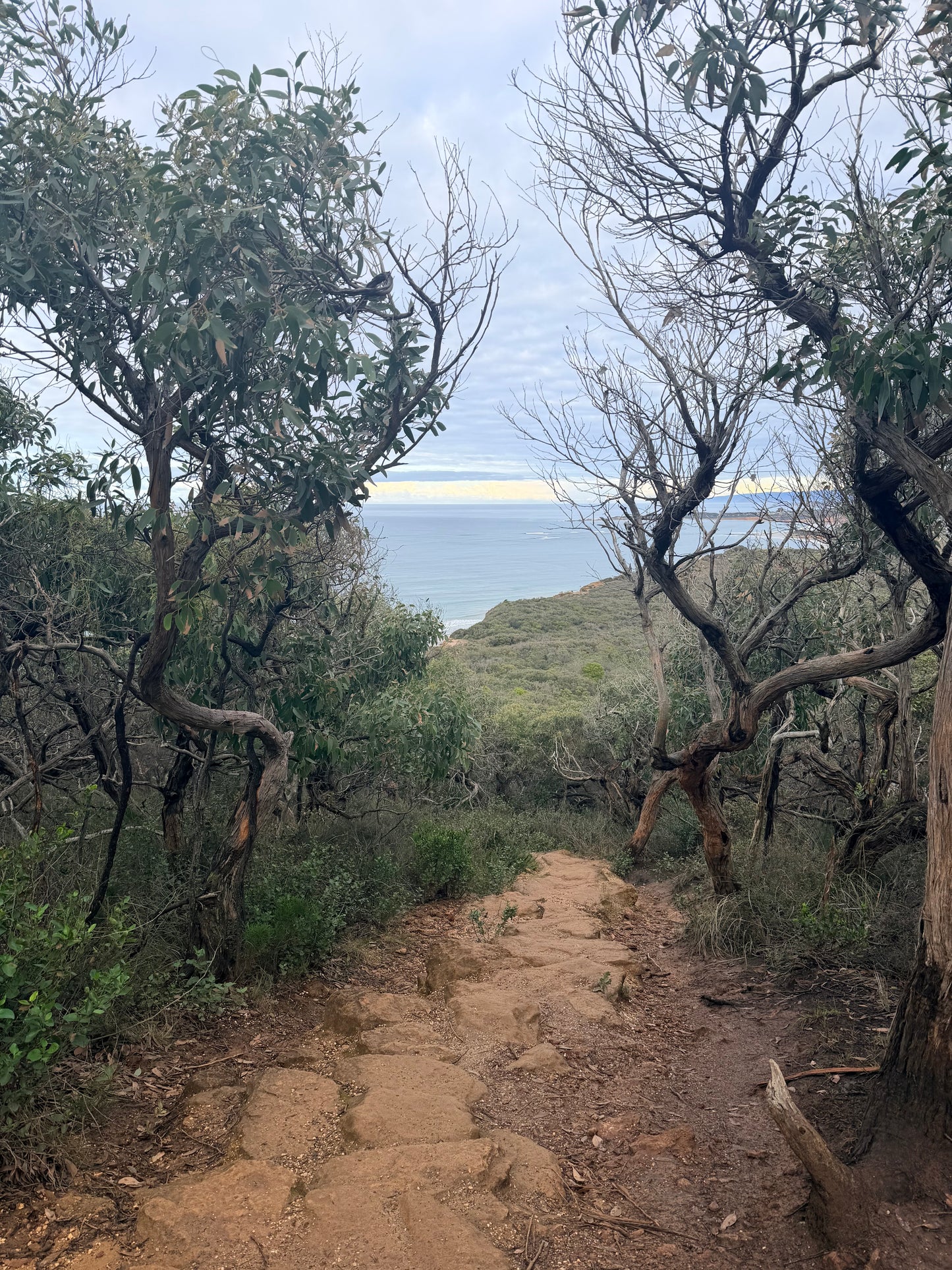 Eumeralla Loop Hike