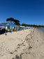 Portarlington Social Walk